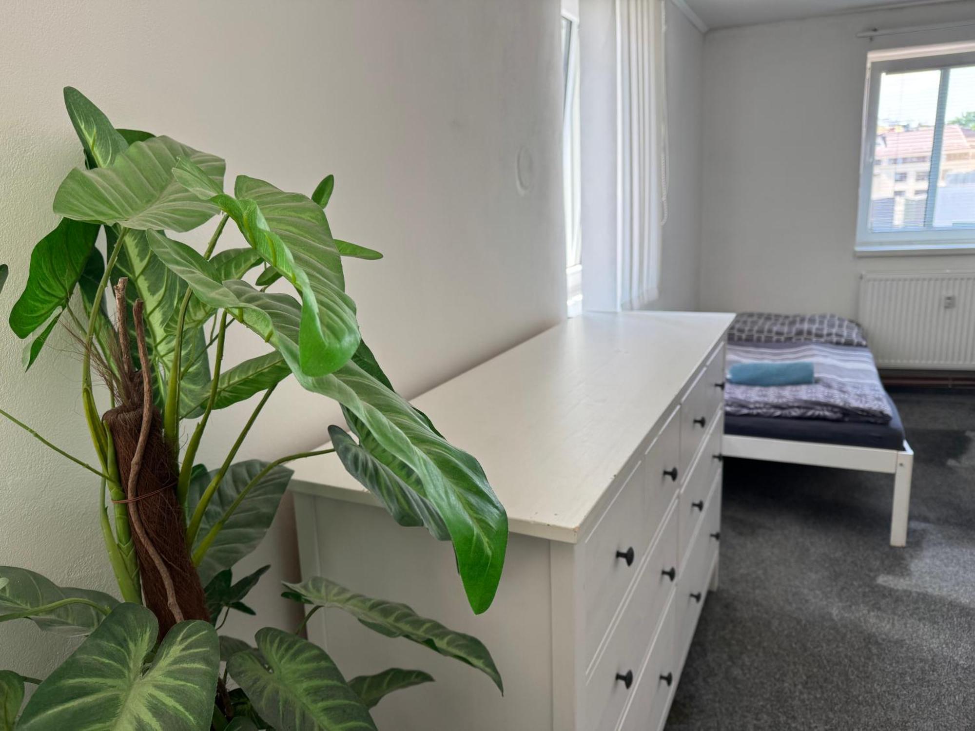 Old Town Apartments R11 ออลอโมตซ์ ภายนอก รูปภาพ